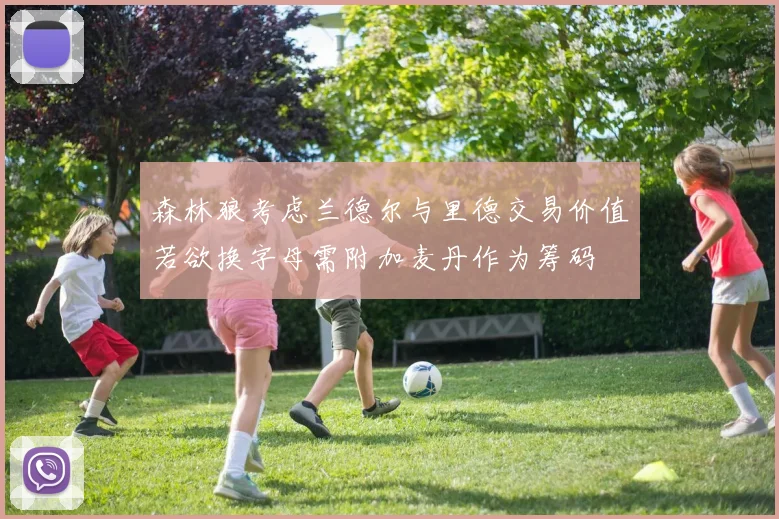 森林狼考虑兰德尔与里德交易价值若欲换字母需附加麦丹作为筹码